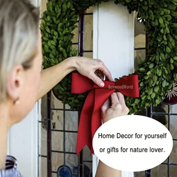 BOXWOOD WORLD Boxwood Wreath 14" Preserved Natural Boxwood Wreath Home Decor Keep Fresh for Years Home Wreath Decor (Preserved Boxwood)