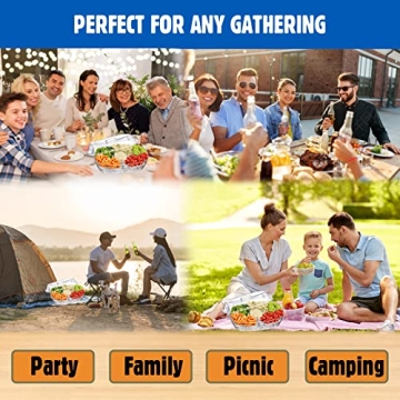 Chilled Veggie Tray with 4 Compartments for Parties