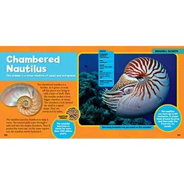 National Geographic Kids Book on Rocks, Minerals & Shells