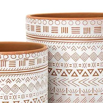 Stylish D'vine Dev Terracotta Planter Set for Indoor Plants