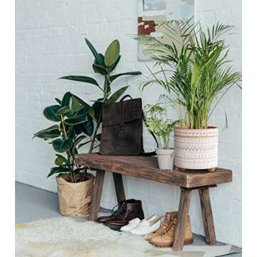 Stylish D'vine Dev Terracotta Planter Set for Indoor Plants