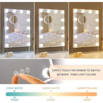 FENCHILIN Lighted Makeup Mirror Hollywood Mirror Vanity Makeup Mirror with Light Smart Touch Control...