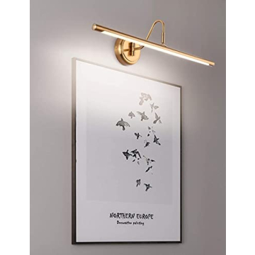 JOOSENLUX Elegant Picture Light Brass Finish 3000K