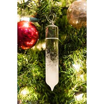 Glassic Gifts® 5" Hanging Fitzroy Storm Glass Ornament