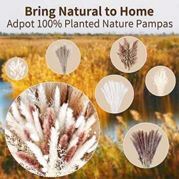 Dried Pampas Grass Flowers Bouquet,Home Decoration Boho Table 100Pcs Dry Floral Arrangements for Vase,Autumn Decor Fluffy Natural White Brown Dried Reed Bunny Tail Pampas for Kitchen Wedding Party