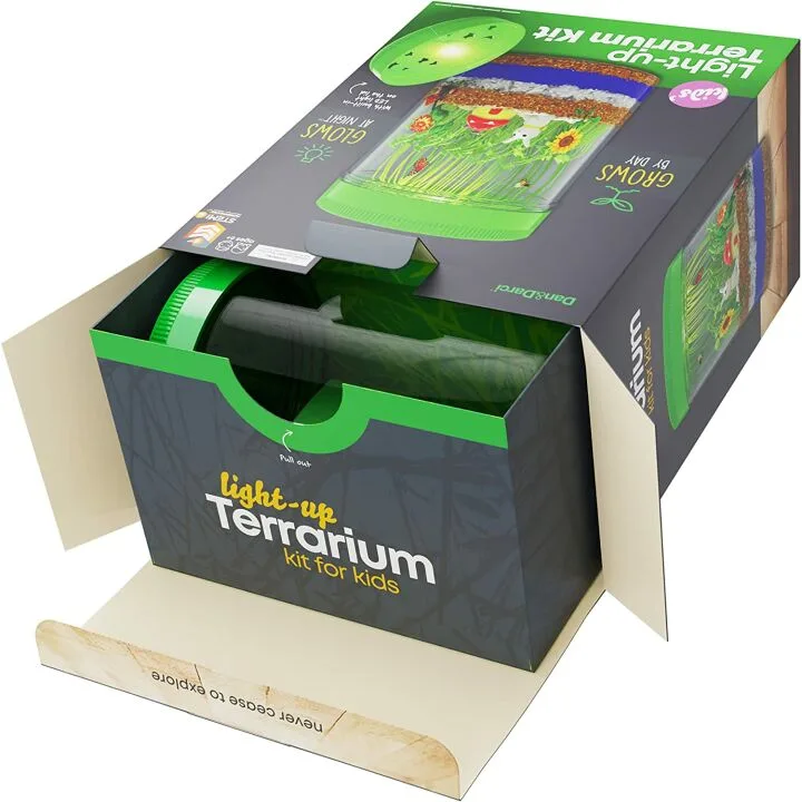 Light-Up Terrarium Kit - Fun STEM Project for Kids