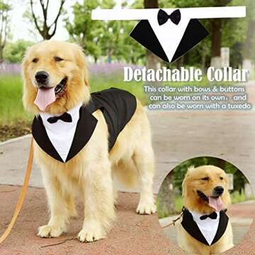 Stylish Dog Tuxedo Suit for Large Medium Breeds