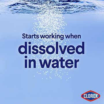 Clorox Concentrated Bleach Powder for Effective Cleaning