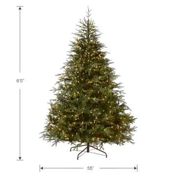 National Tree Company Pre-Lit 'Feel Real' Artificial Full Christmas Tree, Green, Frasier Grande, Dual Color LED Lights, Includes Stand, 6 Feet