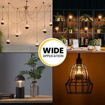Elegant Globe Light Bulbs, Dimmable LED Design for Home