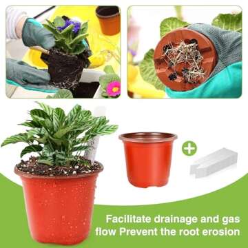 Plant Nursery Pots 100 Pcs for Seed Starting & Growth
