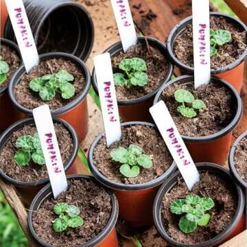 Plant Nursery Pots 100 Pcs for Seed Starting & Growth