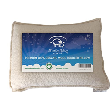 Mother Sheep Organics Organic Wool Toddler Pillow