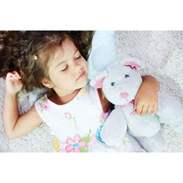 Mother Sheep Organics Organic Wool Toddler Pillow