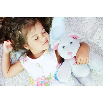 Mother Sheep Organics Organic Wool Toddler Pillow