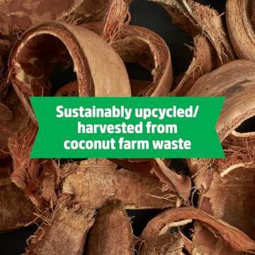 Back to the Roots Organic Seed Starting, Compressed Block expands to 12 Quarts, Made for Herbs, Veggies, Flowers