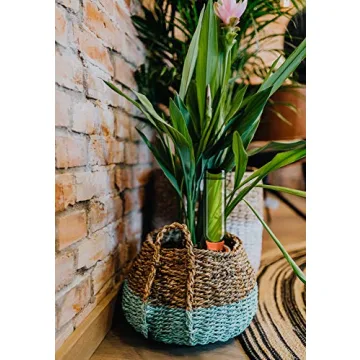 B SEPOR Terracotta Self-Watering Spikes for Plants