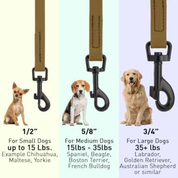 Dogline Biothane Waterproof Dog Leash Strong Coated Nylon Webbing with Black Hardware Odor-Proof Easy to Clean High Performance for Small or Large Dogs Made in USA 4 or 6 ft Lead, Coyote Brown