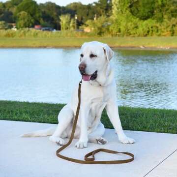 Dogline Biothane Waterproof Dog Leash Strong Coated Nylon Webbing with Black Hardware Odor-Proof Easy to Clean High Performance for Small or Large Dogs Made in USA 4 or 6 ft Lead, Coyote Brown