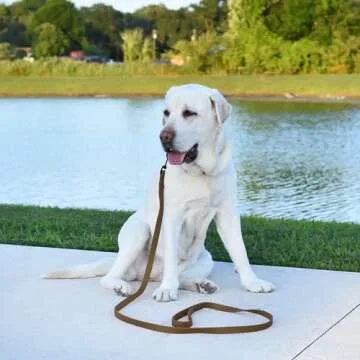 Dogline Biothane Waterproof Dog Leash Strong Coated Nylon Webbing with Black Hardware Odor-Proof Easy to Clean High Performance for Small or Large Dogs Made in USA 4 or 6 ft Lead, Coyote Brown