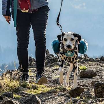 Kurgo Big Baxter Dog Backpack for Hiking and Adventures