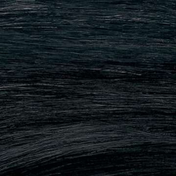 Revlon Permanent Hair Color, Permanent Hair Dye, Colorsilk with 100% Gray Coverage, Ammonia-Free, Keratin and Amino Acids, 10 Black, 4.4 Oz (Pack of 1)