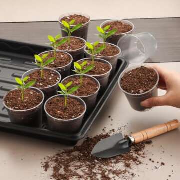 RooTrimmer 2.5" Clear Seeding Pots 100-Pack Round for Seeds Starter Pots, Seeds Germination Transparent Nursery Pots with Drainage Holes (2.5Inch,100Pcs,Clear)