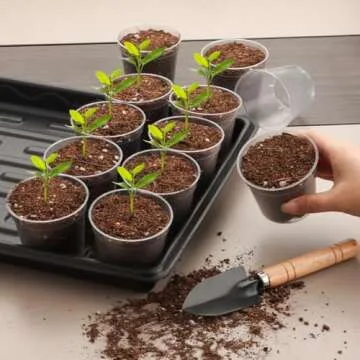 RooTrimmer 2.5" Clear Seeding Pots 100-Pack Round for Seeds Starter Pots, Seeds Germination Transparent Nursery Pots with Drainage Holes (2.5Inch,100Pcs,Clear)