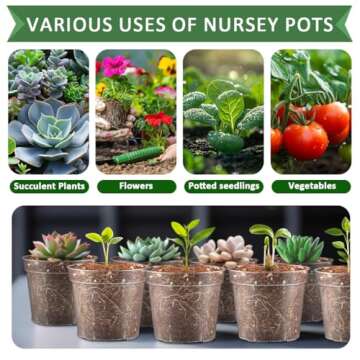 RooTrimmer 2.5" Clear Seeding Pots 100-Pack Round for Seeds Starter Pots, Seeds Germination Transparent Nursery Pots with Drainage Holes (2.5Inch,100Pcs,Clear)