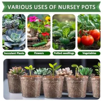 RooTrimmer 2.5" Clear Seeding Pots 100-Pack Round for Seeds Starter Pots, Seeds Germination Transparent Nursery Pots with Drainage Holes (2.5Inch,100Pcs,Clear)