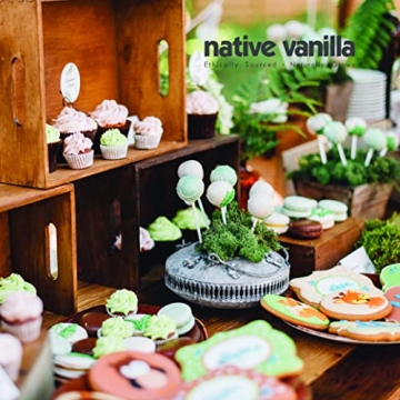 Organic Madagascar Vanilla Beans Gourmet Grade for Cooking and Baking