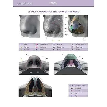 Form of the Head and Neck