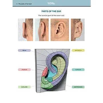 Form of the Head and Neck