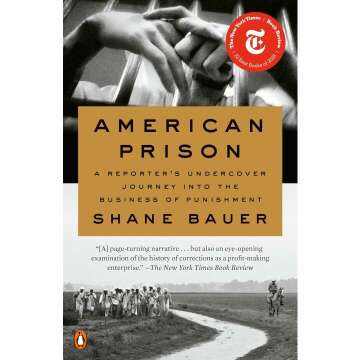 American Prison: Unveiling the Business of Punishment
