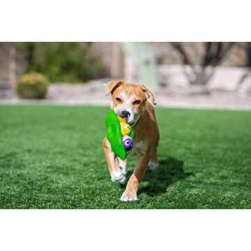 Multipet Three Peas in A Pod Durable Squeaky Toy for Dogs