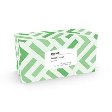 Amazon Brand - Solimo 2-ply Facial Tissues, 2880 Count (18 Pack of 160)