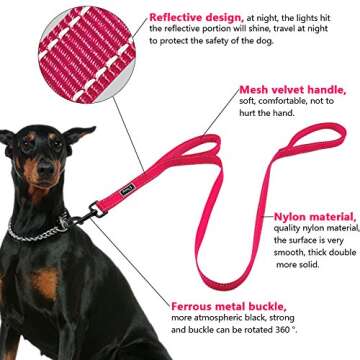 Didog 4 Feet No Pull Nylon Webbing Reflective Dog Leash,Training Dog Leash in Traffic,Hot Pink
