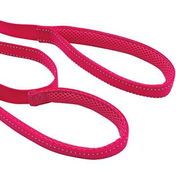 Didog 4 Feet No Pull Nylon Webbing Reflective Dog Leash,Training Dog Leash in Traffic,Hot Pink