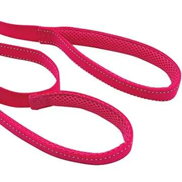 Didog 4 Feet No Pull Nylon Webbing Reflective Dog Leash,Training Dog Leash in Traffic,Hot Pink