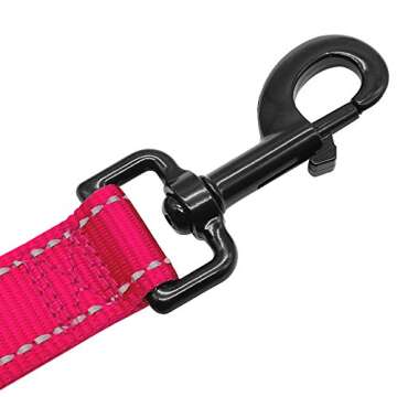 Didog 4 Feet No Pull Nylon Webbing Reflective Dog Leash,Training Dog Leash in Traffic,Hot Pink