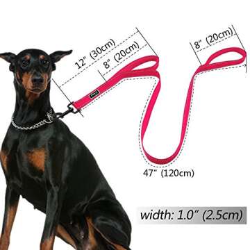 Didog 4 Feet No Pull Nylon Webbing Reflective Dog Leash,Training Dog Leash in Traffic,Hot Pink