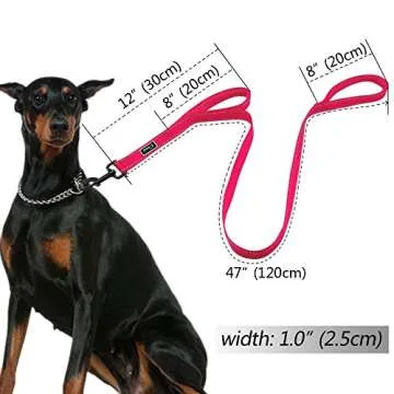Didog 4 Feet No Pull Nylon Webbing Reflective Dog Leash,Training Dog Leash in Traffic,Hot Pink