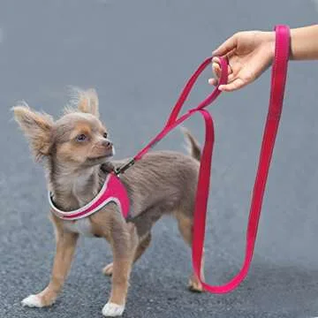 Didog 4 Feet No Pull Nylon Webbing Reflective Dog Leash,Training Dog Leash in Traffic,Hot Pink