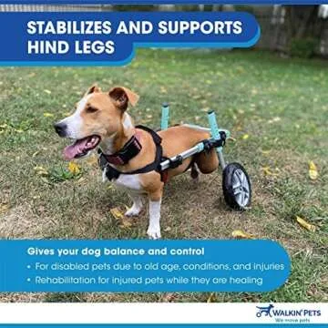 Dachshund Wheelchair for Small Dogs - Mobility Aid
