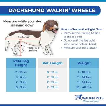 Dachshund Wheelchair for Small Dogs - Mobility Aid