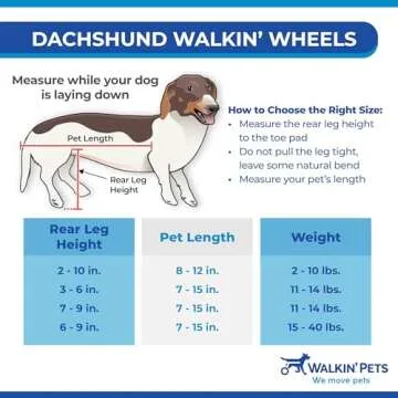 Dachshund Wheelchair for Small Dogs - Mobility Aid