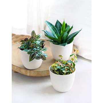 Mkono Macrame Plant Hangers - Stylish Indoor Decor with Pots