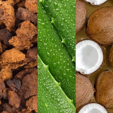 Mario Badescu Setting Facial Spray Mist with Aloe & Coconut Water, Refreshing and Hydrating Makeup Spray, Alcohol, Fragrance, Dye & Sulfate Free