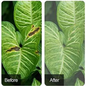 Alpurple Garden Plant Netting - 4.6 x 3.9 Ft Protective Bags