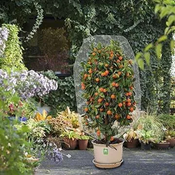 Alpurple Garden Plant Netting - 4.6 x 3.9 Ft Protective Bags